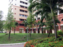Blk 576 Hougang Avenue 4 (S)530576 #253122